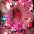 Stacy Garlow's profile image