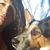 Samantha Lee's profile image