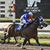 Santa Anita Rancho's profile image