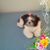 Jeannie Martinez's profile image