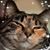 Jen E. Hazlett's profile image