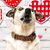 Kimberly Chan's profile image