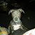 Jessica Shamblin's profile image