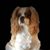 Chris Barr's profile image
