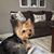 Rhonda Westerfield-Mather's profile image