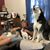 Donna Knickerbocker's profile image