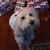 Erynn Nikki Riggio's profile image