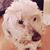 Rosa Carbonell's profile image