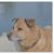 Annie James's profile image