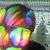 Joanne J Morton's profile image