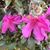 Carolyn A Rogers's profile image