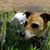 Nicole Julian-Thurmond's profile image