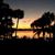 Cindy Weddington's profile image