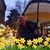 Marilyn Pfingston's profile image