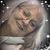 Dona Mccollough-Bucher's profile image