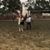 Rancho El Colibri's profile image