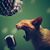 Carlos Alfredo Galvez's profile image