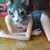 Valerie Vera's profile image