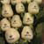 Maggie Pacheco's profile image