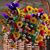 Deborah Martin Piguet's profile image