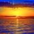Caroline McCartney's profile image