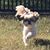 Brooke Anne Wiley's profile image