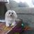 Janice Cheek's profile image