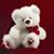 Mehatab Ara's profile image