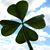 Mary Convery Cruikshank's profile image