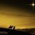 Wendy Wiseman Woods's profile image