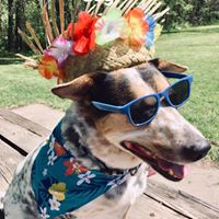 Catherine Lalla-Duckworth's profile image