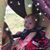 Billie Massingham's profile image