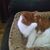 Kelly Mullins-Millhench's profile image