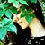 Rachel Kim's profile image
