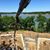 Basement Contractors, Inc.'s profile image