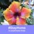 Colleen Richards's profile image
