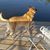 Stacy Fredrickson's profile image