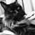 Penny Fehn Gasper's profile image