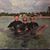 Michele Mulcahy Reeves's profile image