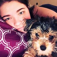 Brittany Whitehead's profile image