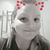 Kim Strobel's profile image
