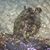 Tami Weber's profile image