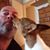Gary Blogowski's profile image