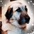 Krista Knoff's profile image