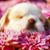 Rebekah O'Brien's profile image