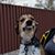 Glen Garets's profile image