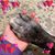 Heidi Johnson's profile image
