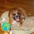 Mark W Bumgarner's profile image
