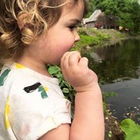 Cheryl Lehman Belli's profile image