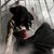 Crystal Gilmour's profile image